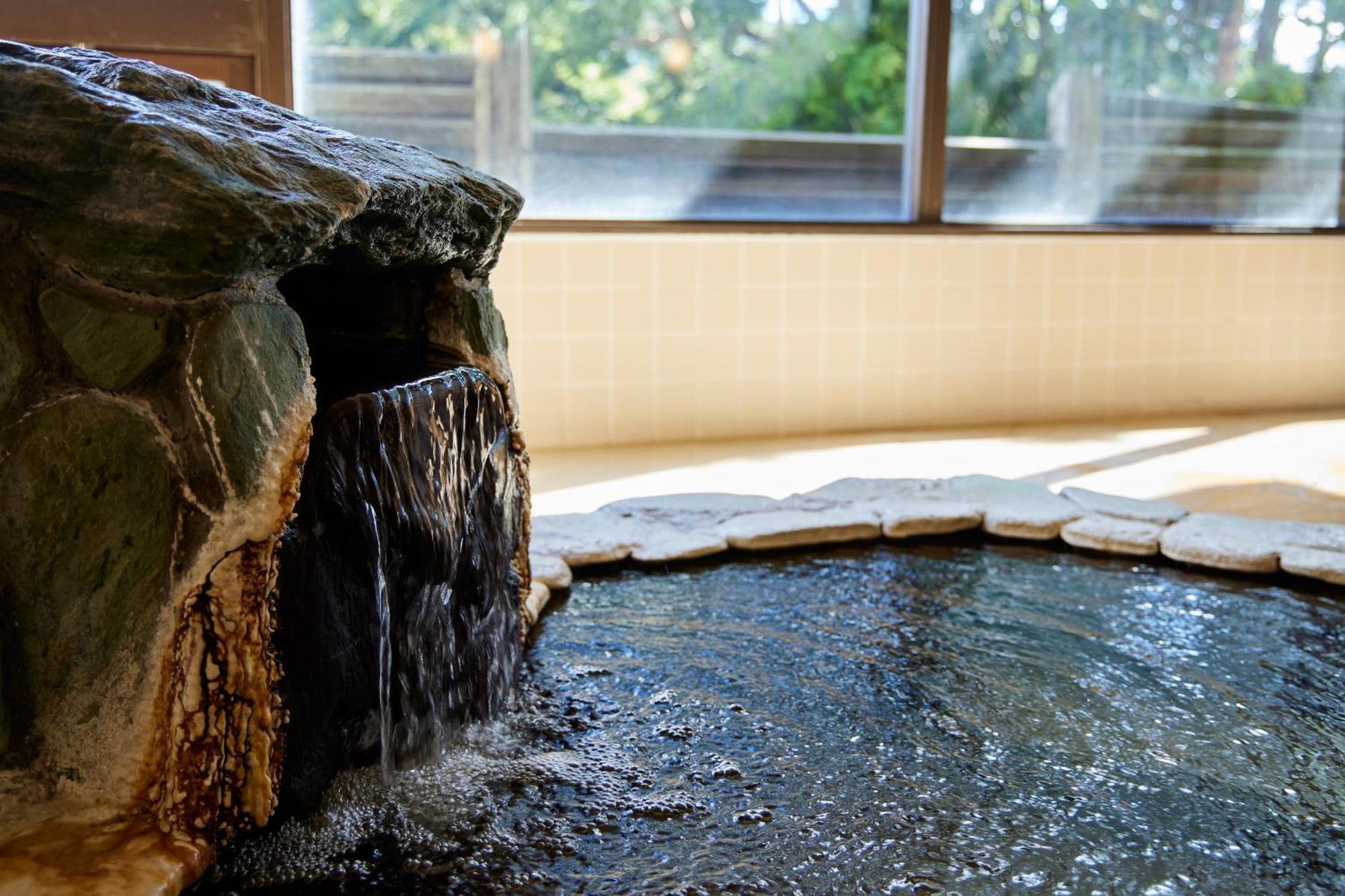 Ryokan Kamenoi Park 3*